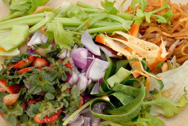 Food Scraps Composting