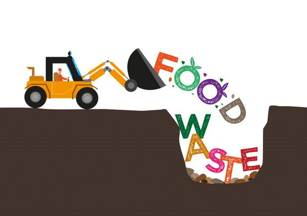 reducing food waste