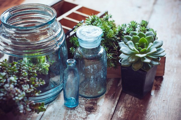 bottle planters