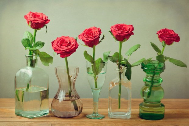 bottle vase