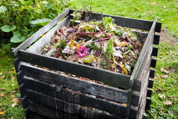 composting