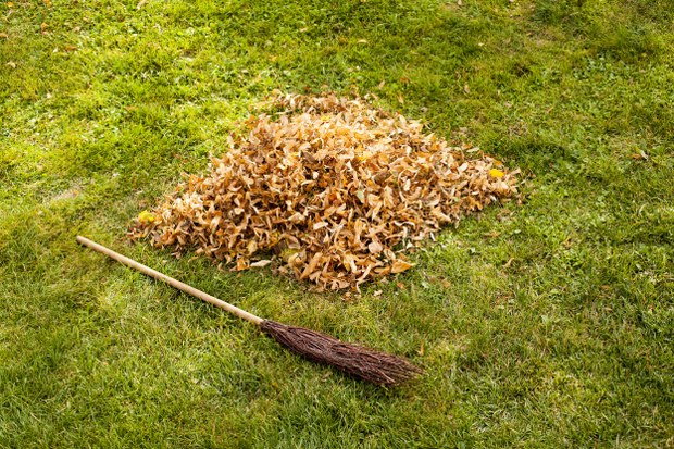 garden waste disposal