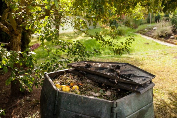 garden waste clearance