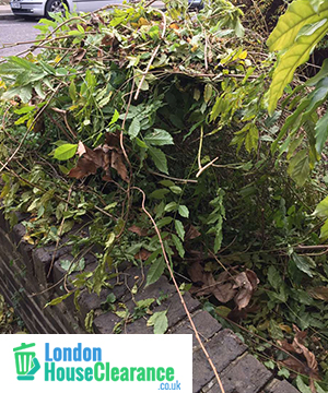 Garden Clearance in London